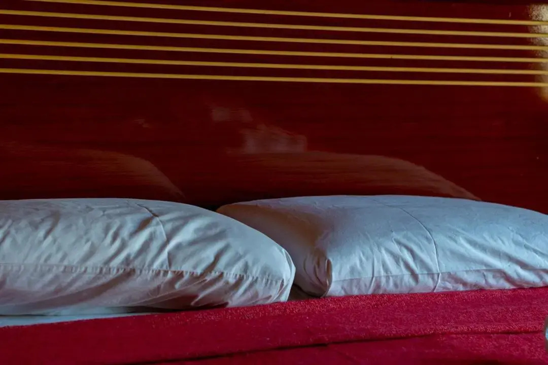 Photo - Terra Iguazú Cabañas