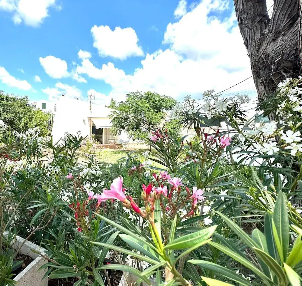 Foto - Starbal Villa