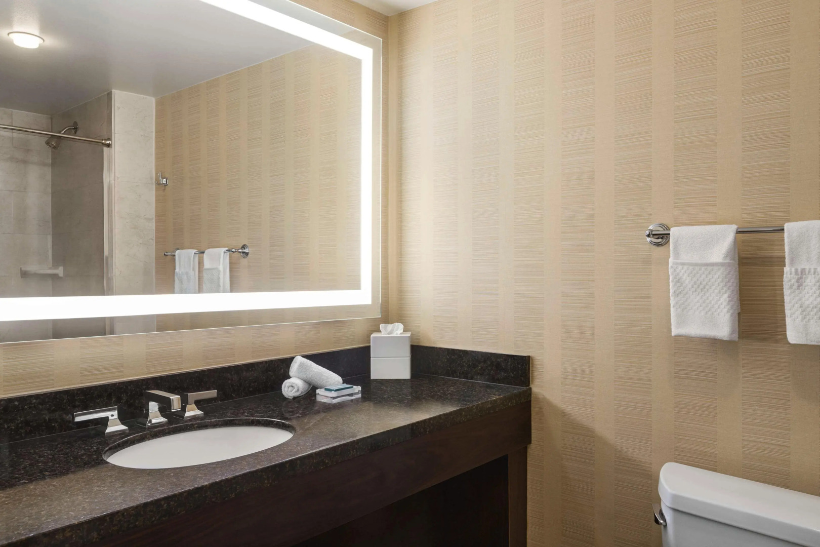 Foto - Hilton Tampa Downtown