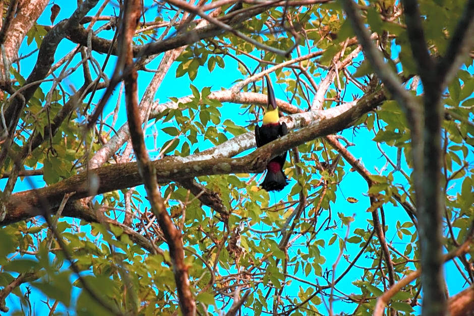 Photo - Hotel Tres Banderas