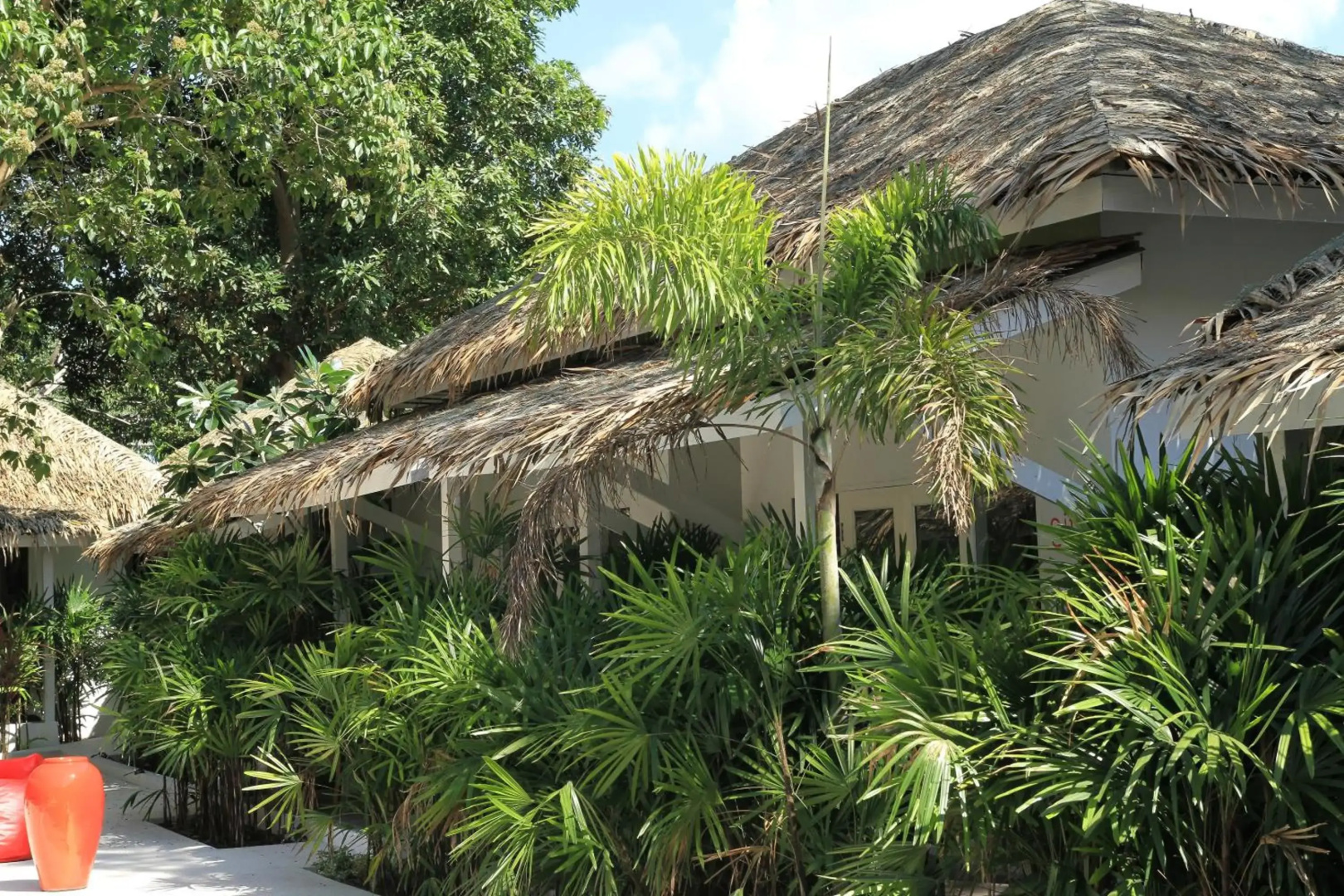 Foto - The White Cottage