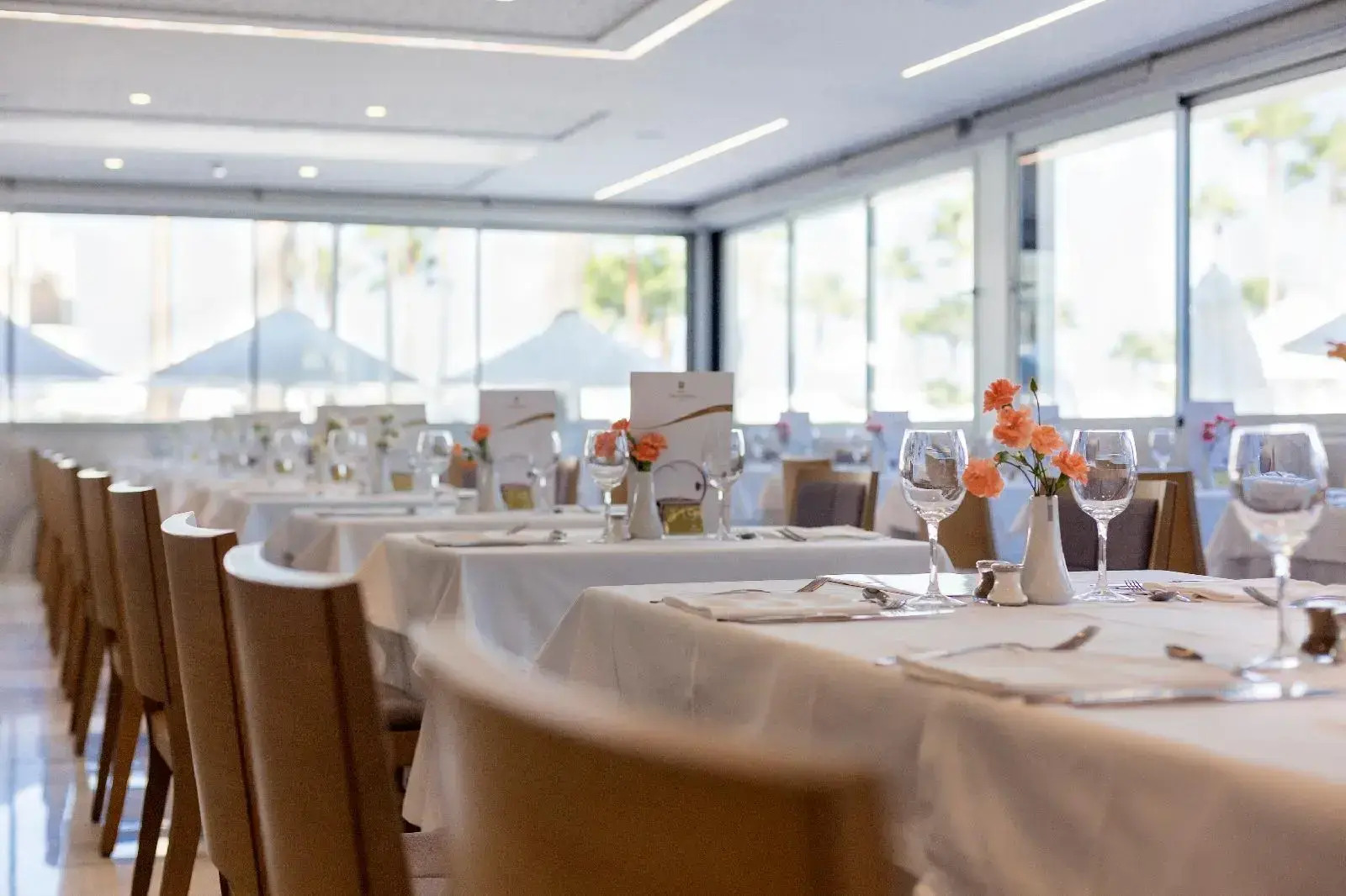 Foto - Hipotels Mediterraneo Hotel - Adults Only