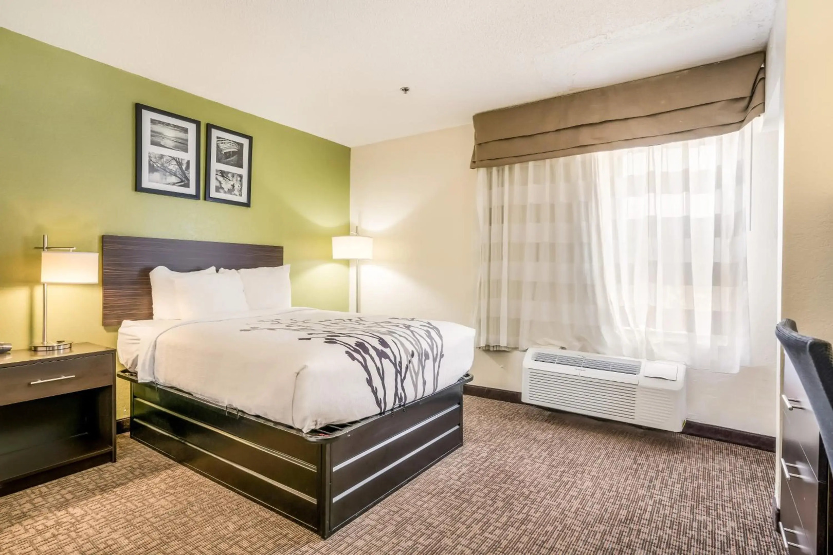 Foto - Hotel Solomou Athens