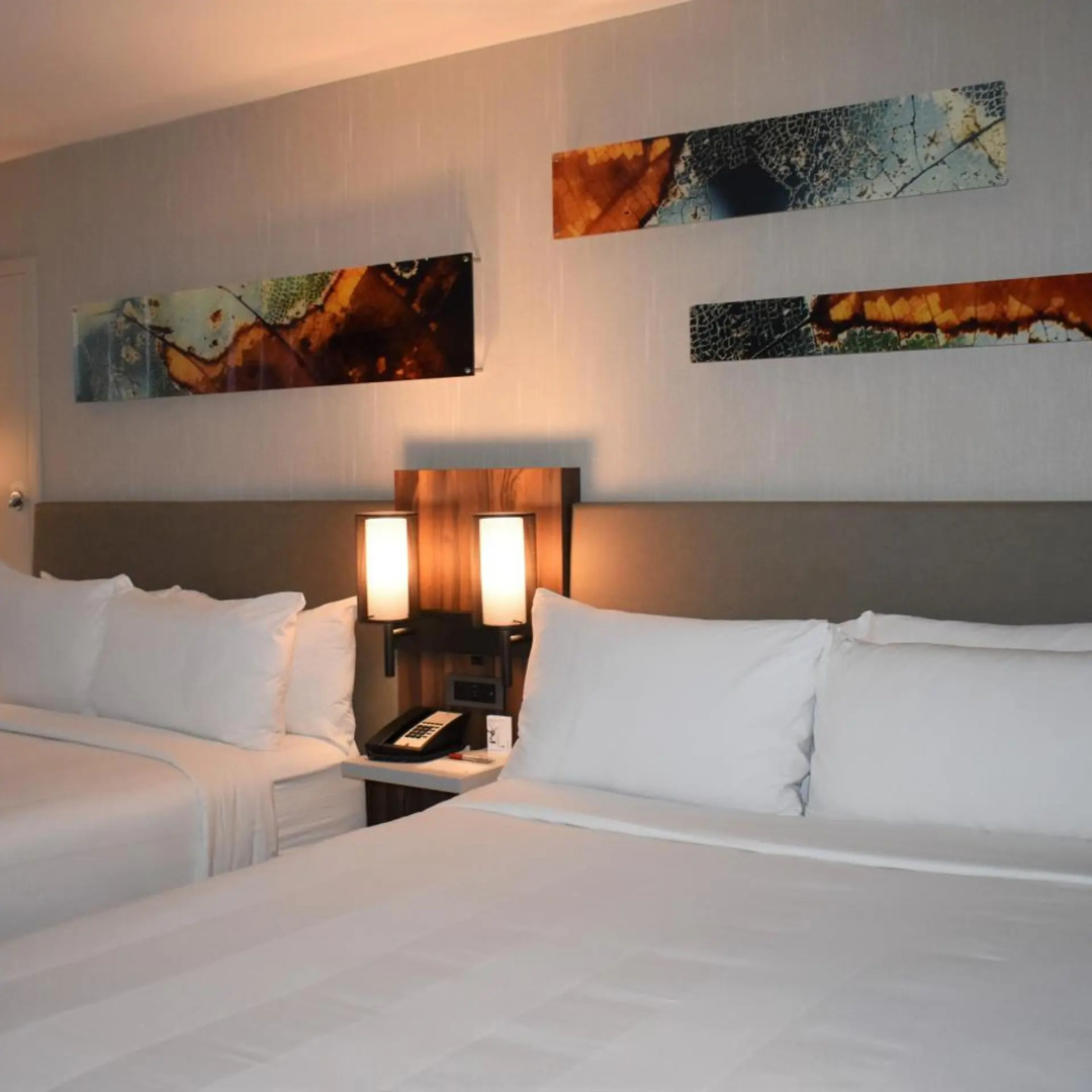 Foto - Chicago Marriott Oak Brook