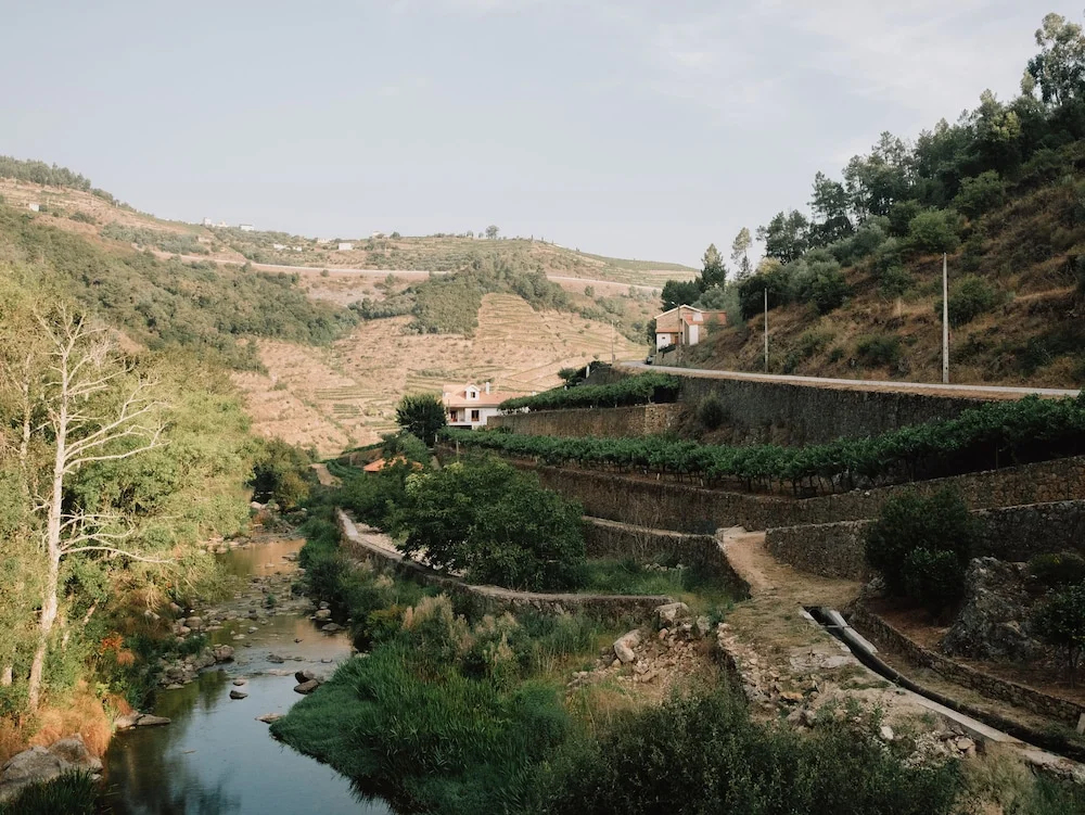 Foto - Quinta de Recião