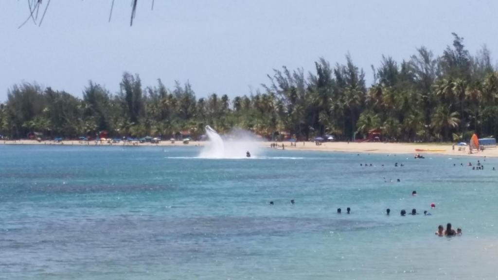 Playa Azul II 302