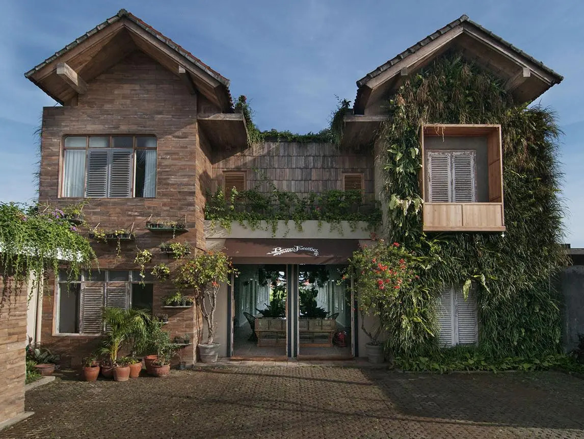 Foto - Brown Feather Batu Belig