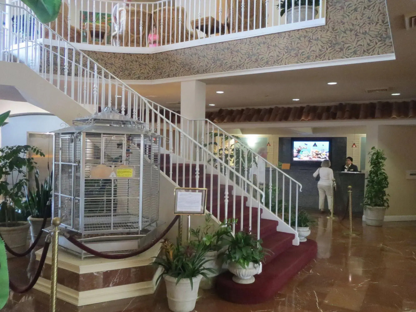 Foto - Hilton Vacation Club Cypress Pointe Orlando