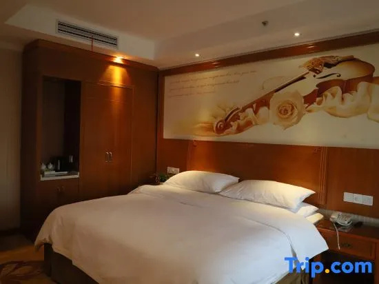 Vienna Classic Hotel (Anlu Jiefang Avenue)