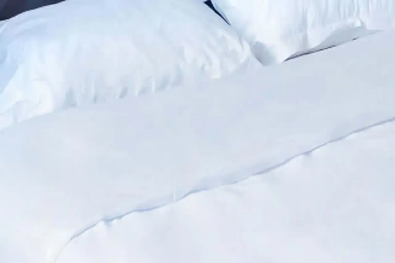 Foto - B&B HOTEL Avignon Sud Parc des Expositions