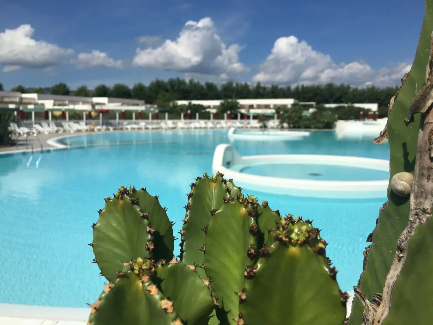 Foto - Club Esse Sunbeach