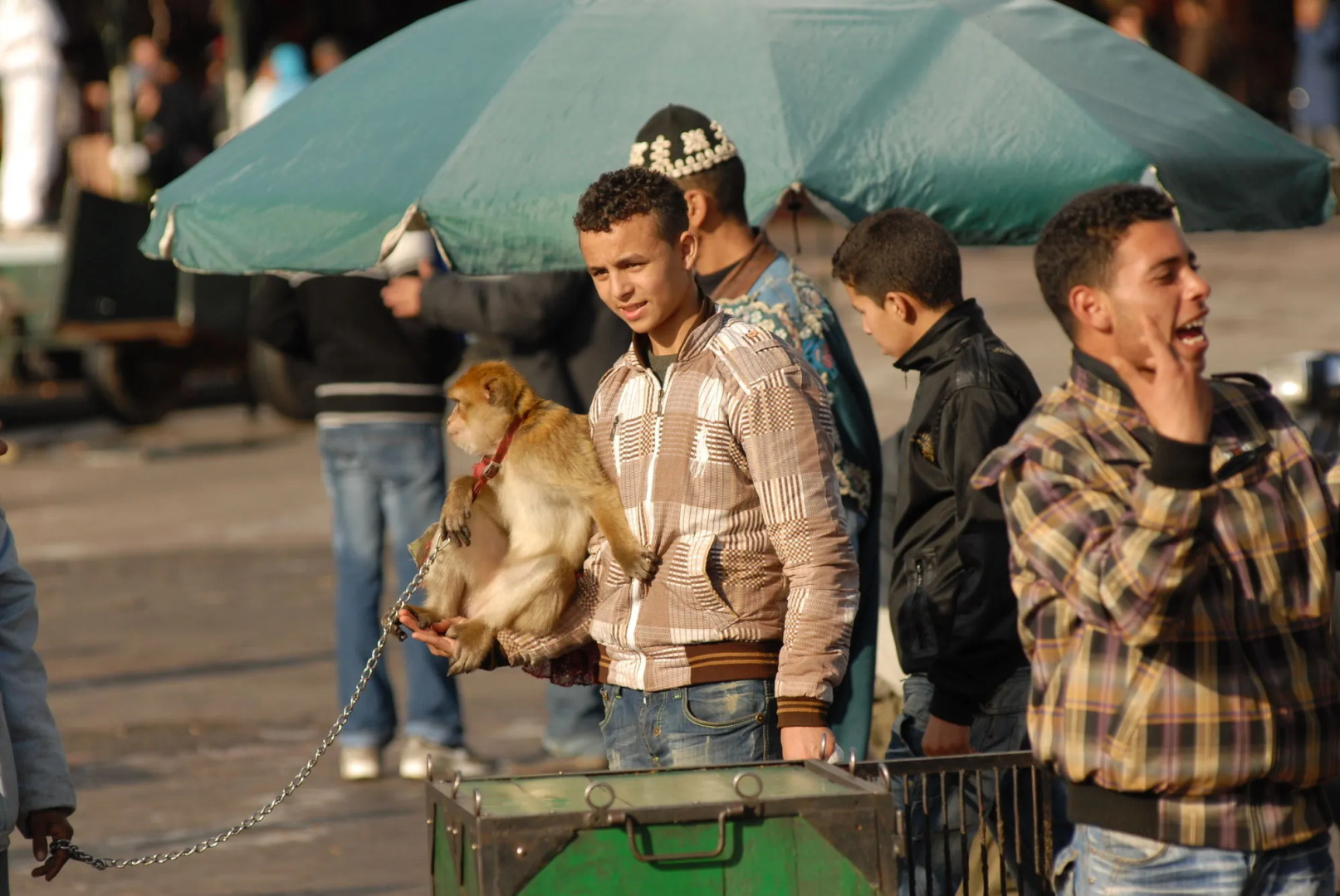 Photo - Riad Al Jana