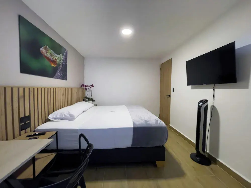 Photo - Vita Hotel Boutique - Aire Acondicionado & Desayuno