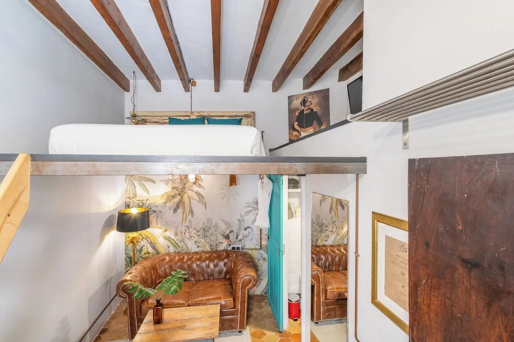 Photo - Dog Admiral - Urban Guest House