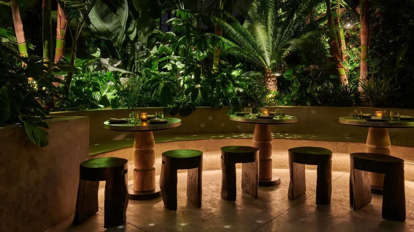 Photo - HOLLYWOOD VOLUME, a Tribute Portfolio Hotel