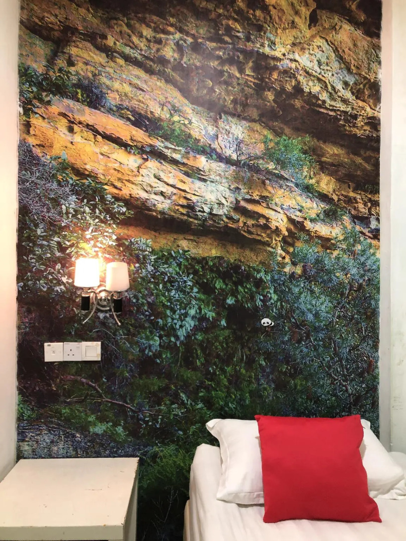 Foto - Rain Forest Hotel