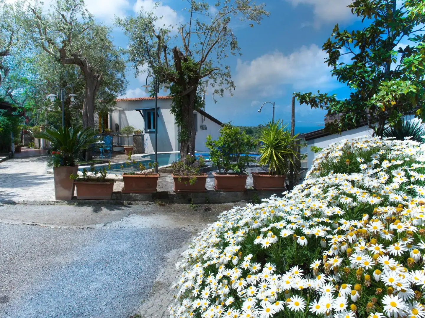 Foto - Villa Giovanna