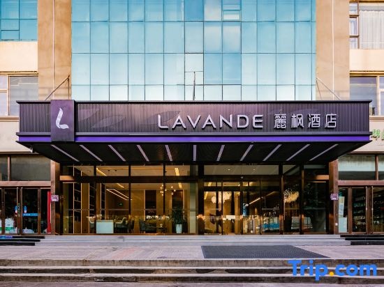 Lavande Hotel(Double Pagoda Temple North Qi Mural Museum shop)