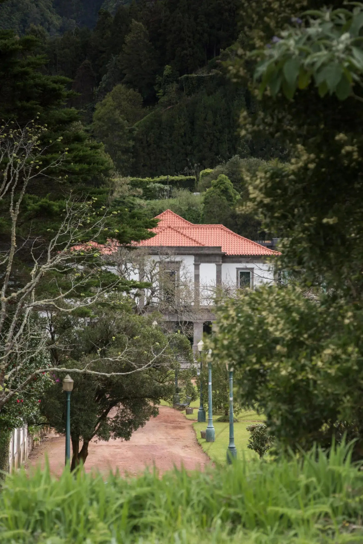 Foto - Octant Furnas