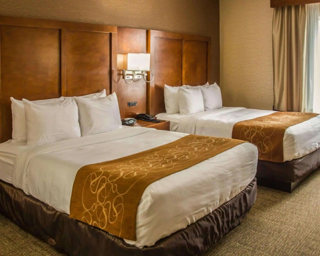 Foto - Quality Suites NYC Gateway