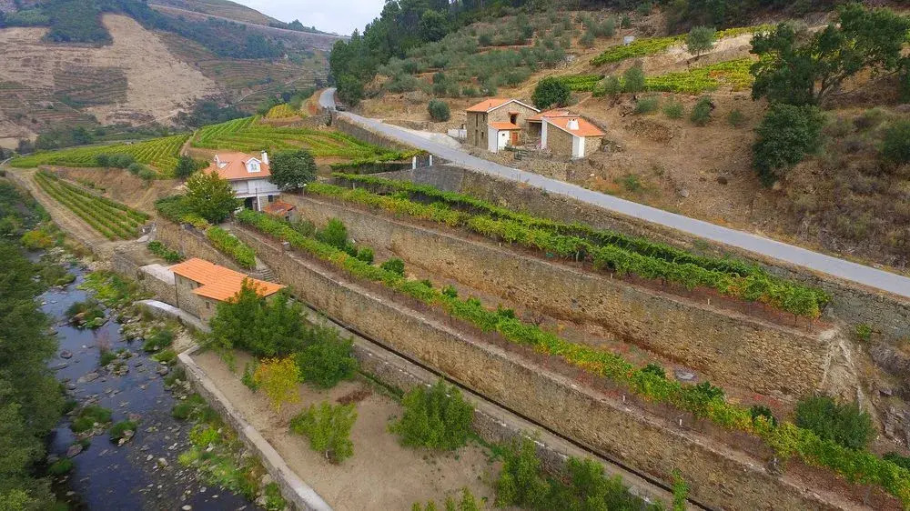 Foto - Quinta de Recião