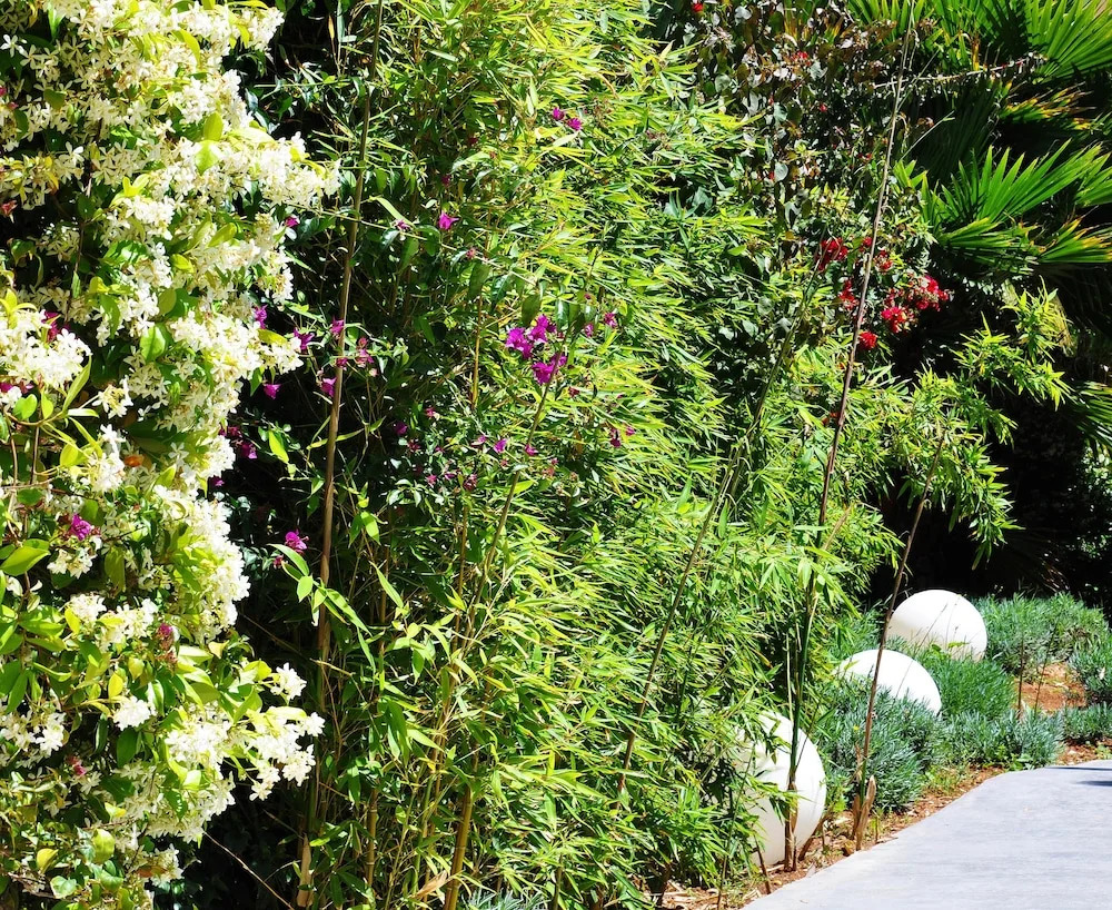 Foto - Apartaments B-Llobet Sun & Confort