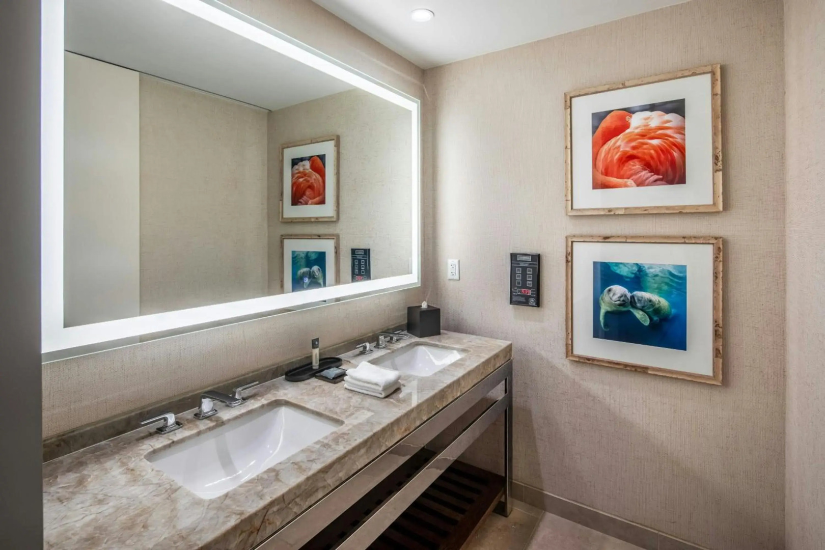 Foto - Gaylord Palms Resort & Convention Center