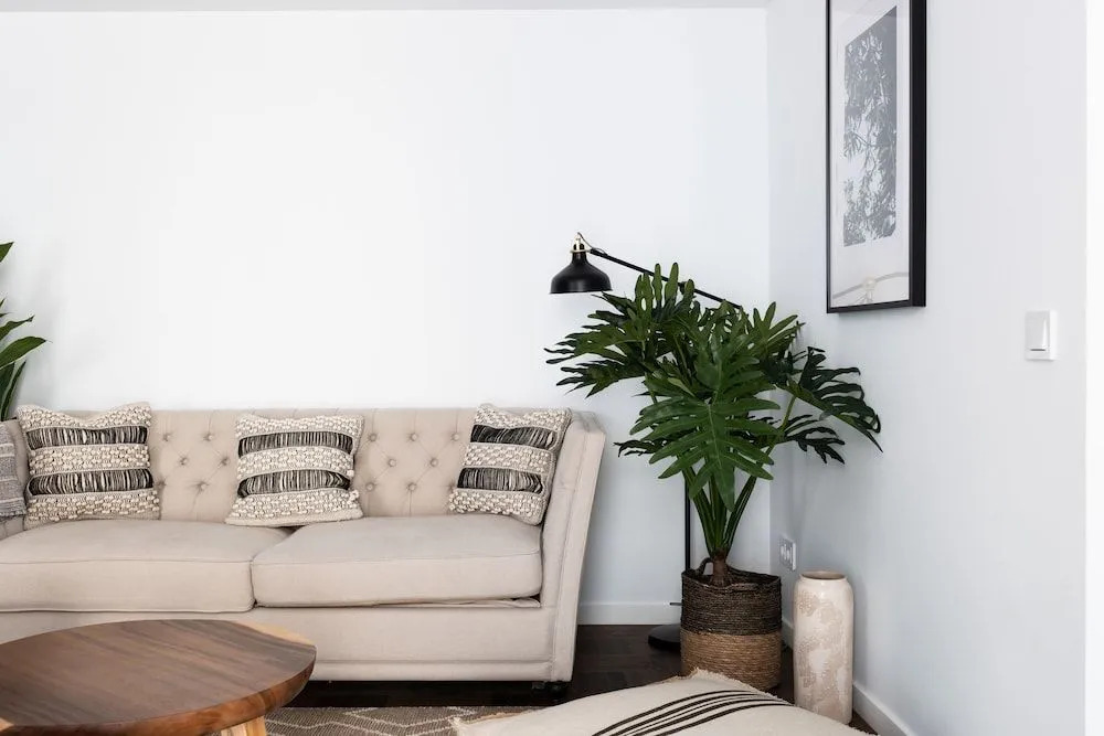 Photo - Terreno Suites