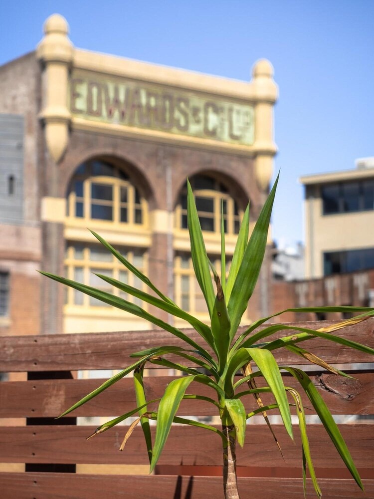Photo - Big Backpackers Hostel