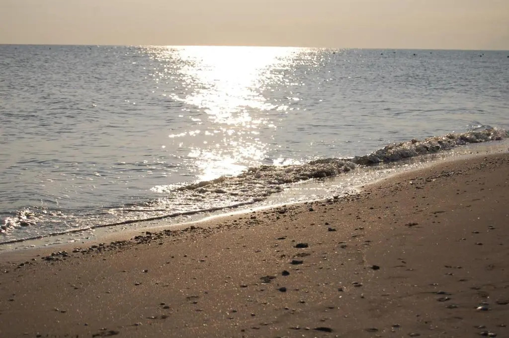 Photo - Hotel Nelson