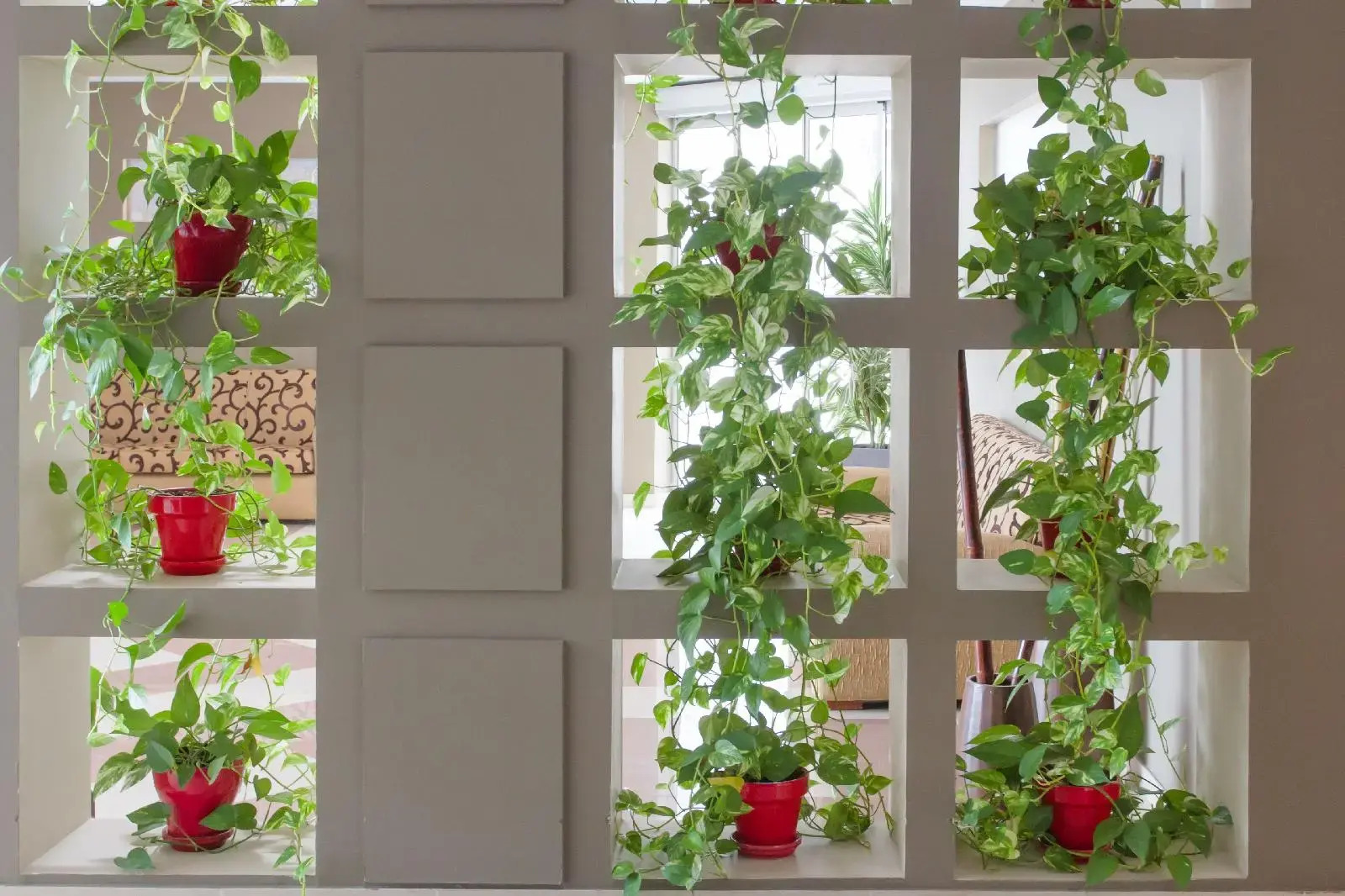 Foto - Hotel Pradillo Conil