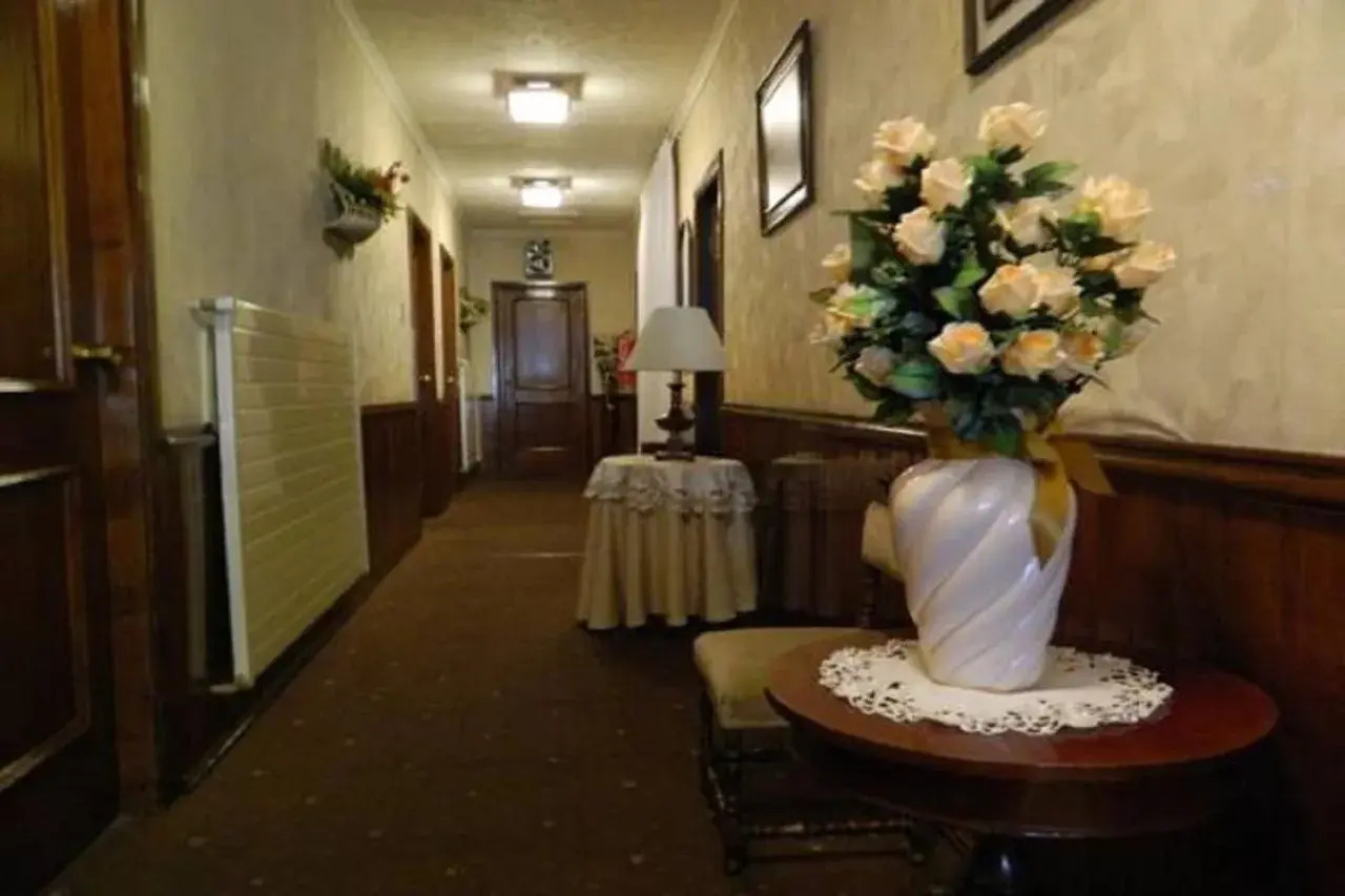Photo - Hotel Mercurio