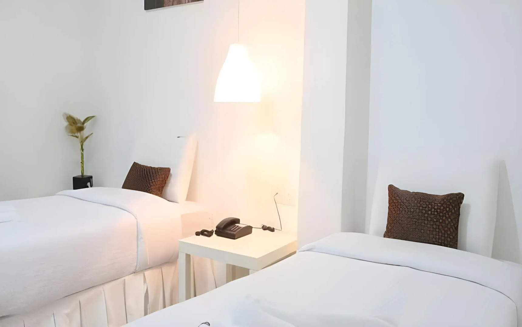 Photo - The Tree Boutique Hotel
