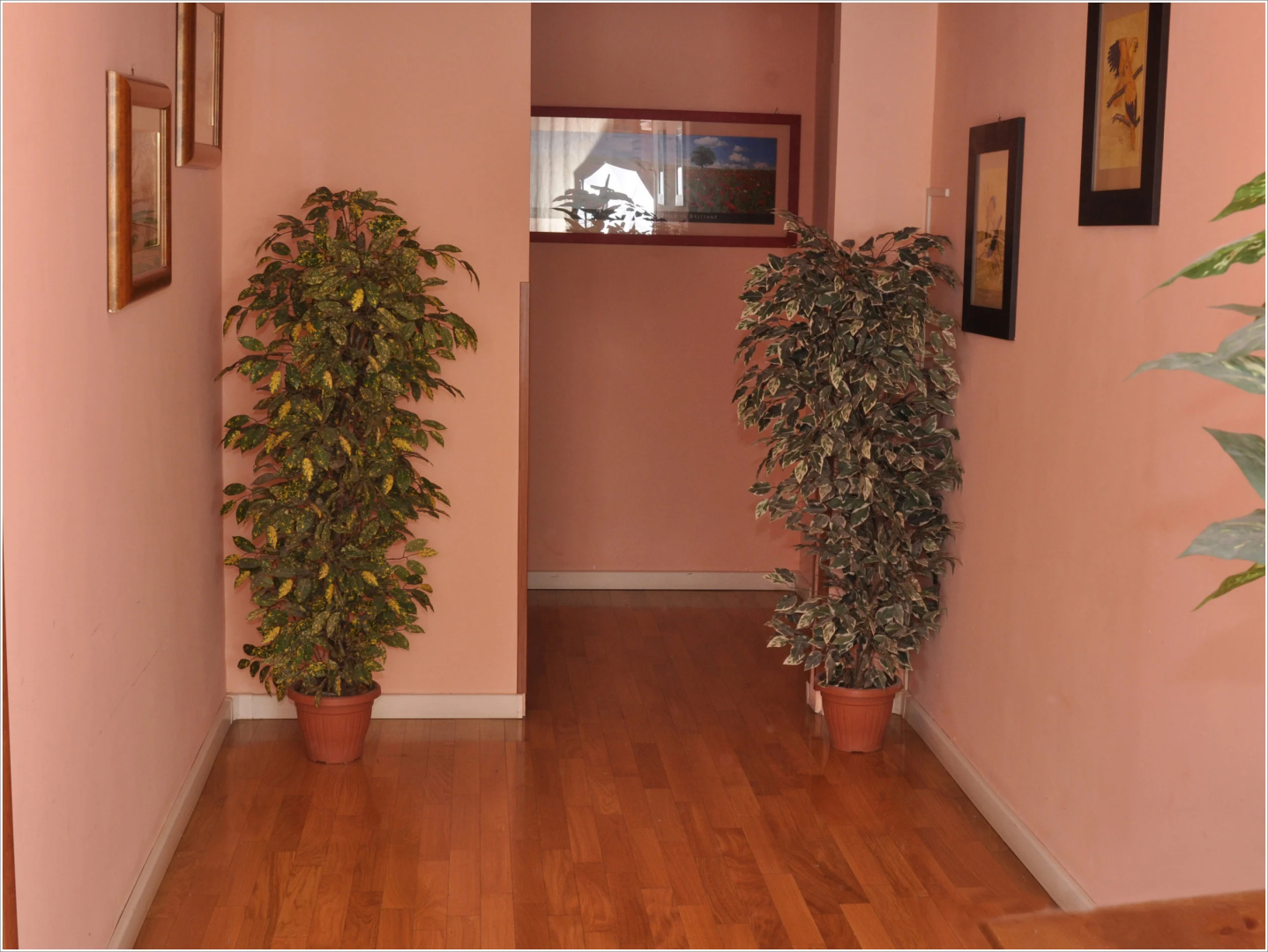 Photo - Gialel Guesthouse
