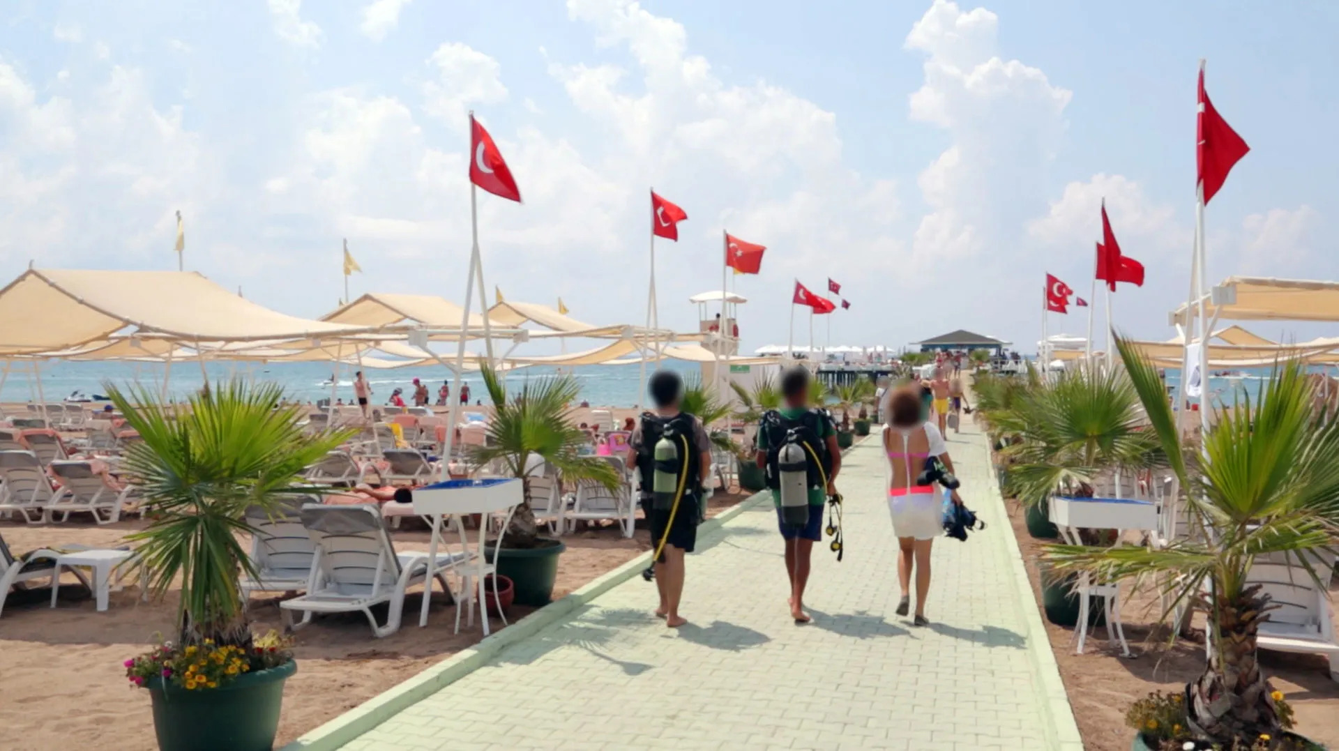 Foto - Delphin Imperial Lara