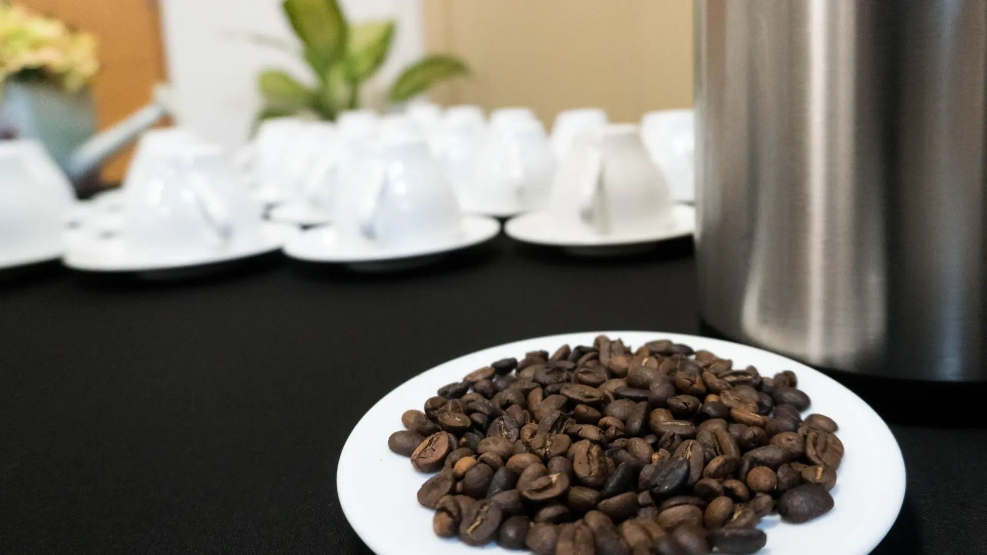 Foto - Cancun Bay All Inclusive Hotel