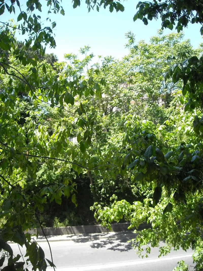 Photo - B&B Il Granello Di Senape