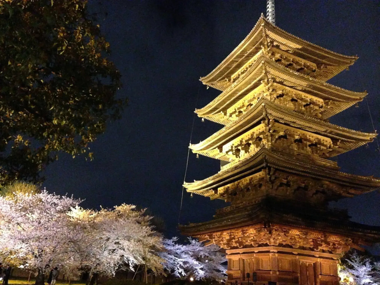 Photo - HOTEL LiVEMAX Kyoto Ekimae