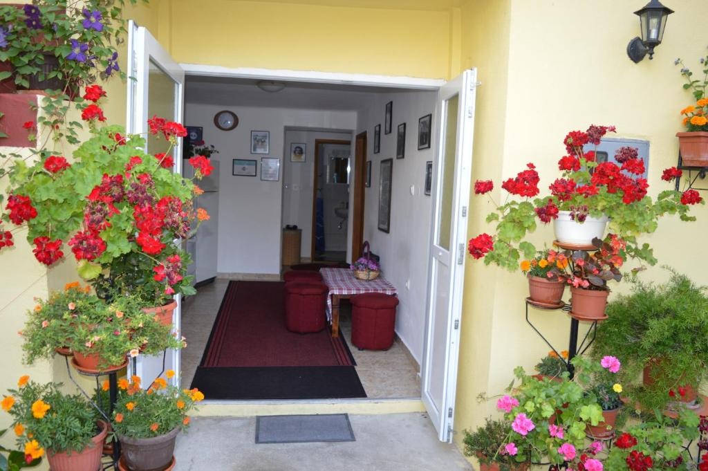 Hostel David