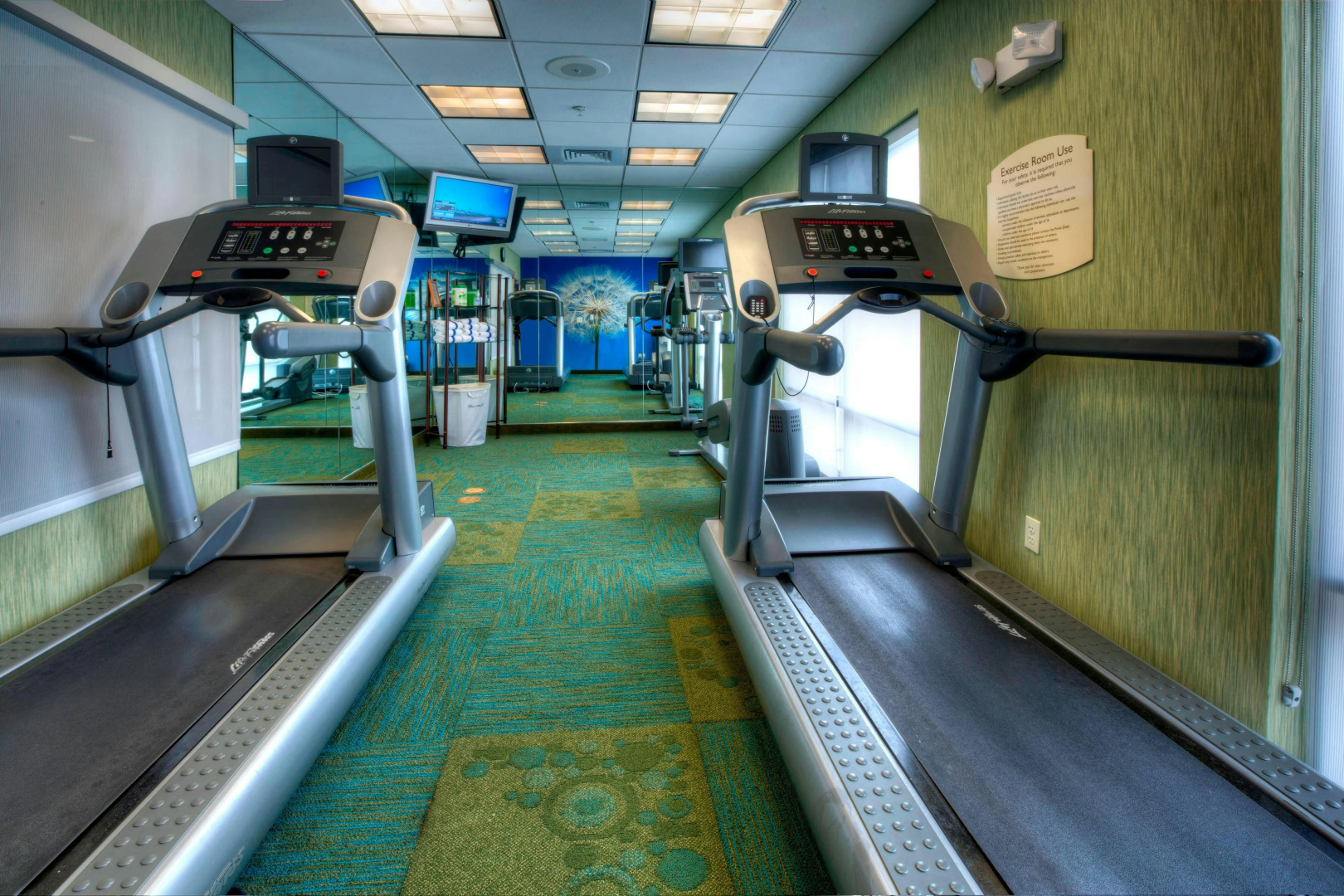 Foto - Springhill Suites by Marriott Tampa Brandon