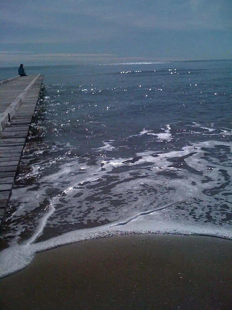 Photo - Hotel Blumarin