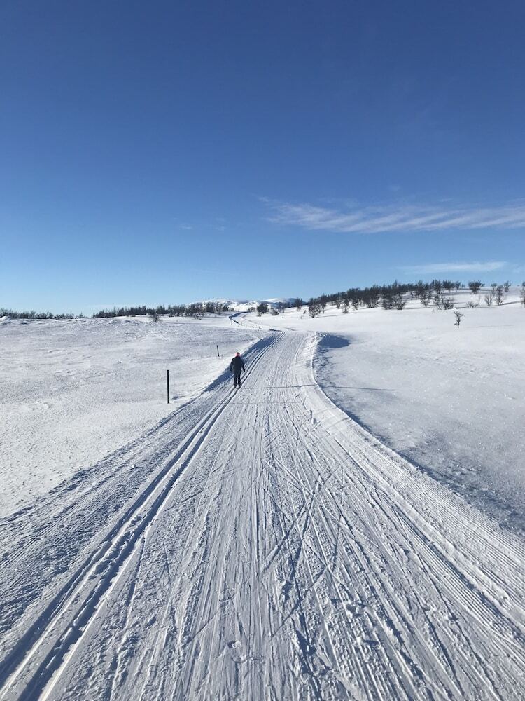 Photo - The Apartments Company - The Sweet