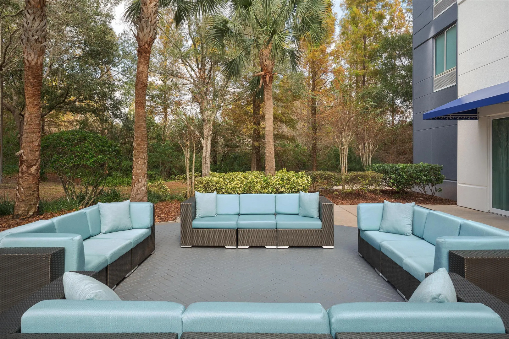 Foto - Hilton Garden Inn Tampa North Busch Gardens