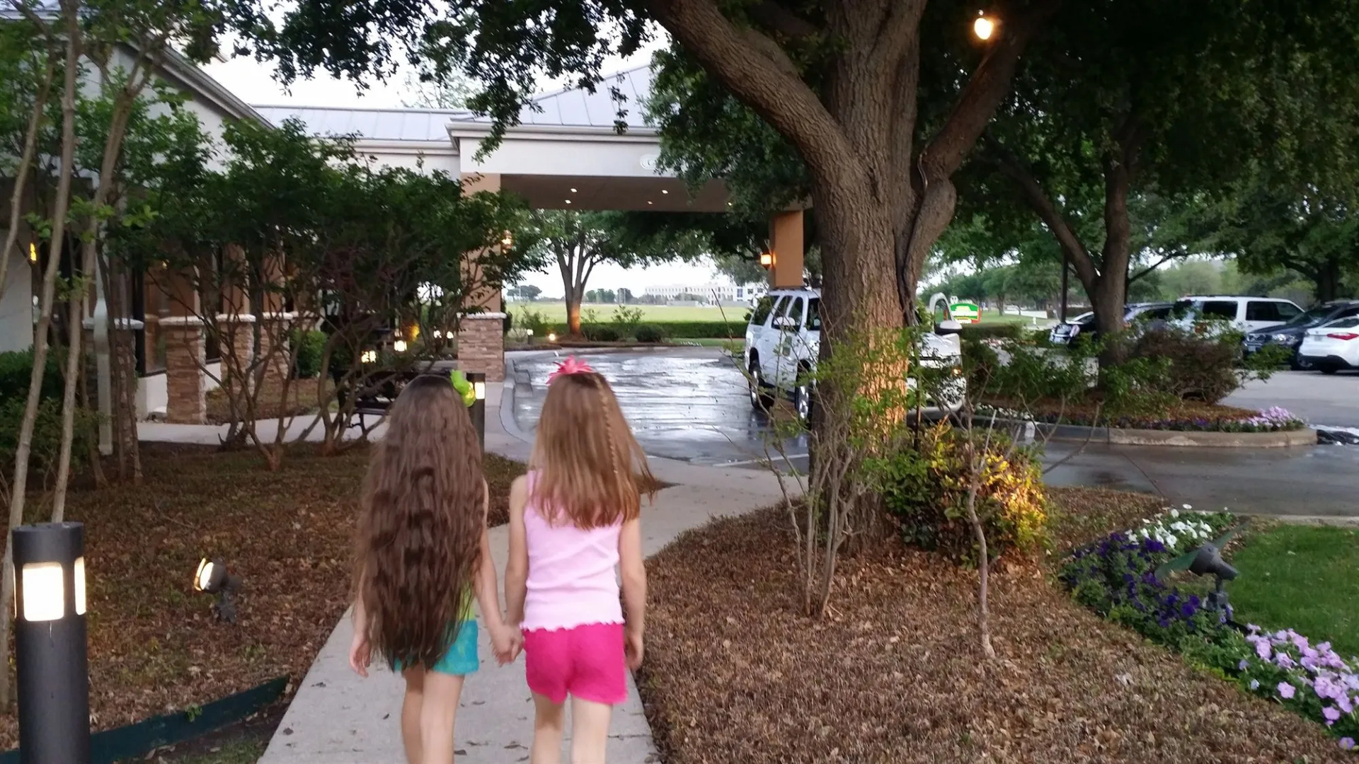 Photo - Courtyard By Marriott Dallas DFW Airport North/Irving