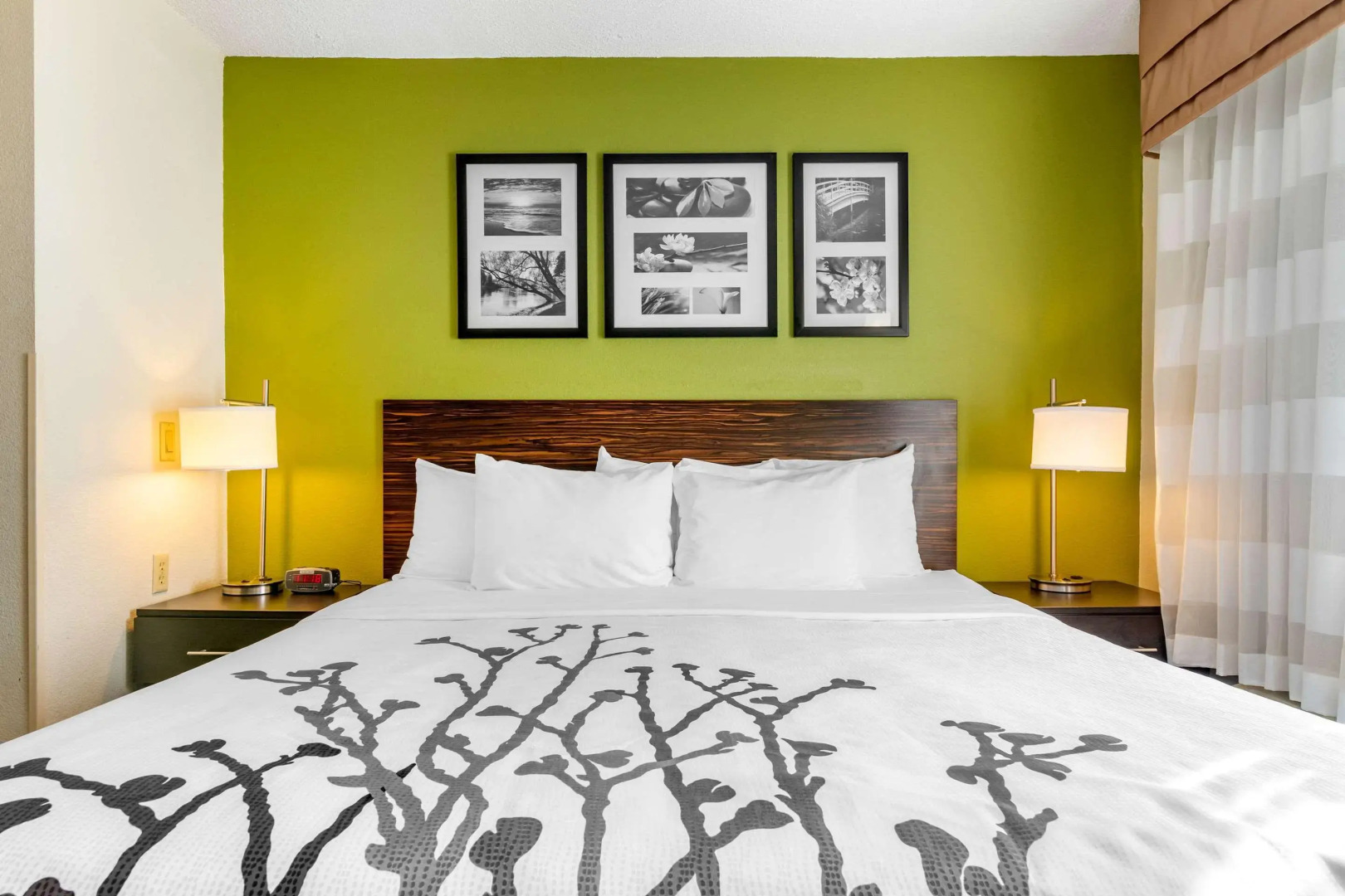 Photo - Sleep Inn I-95 North Savannah