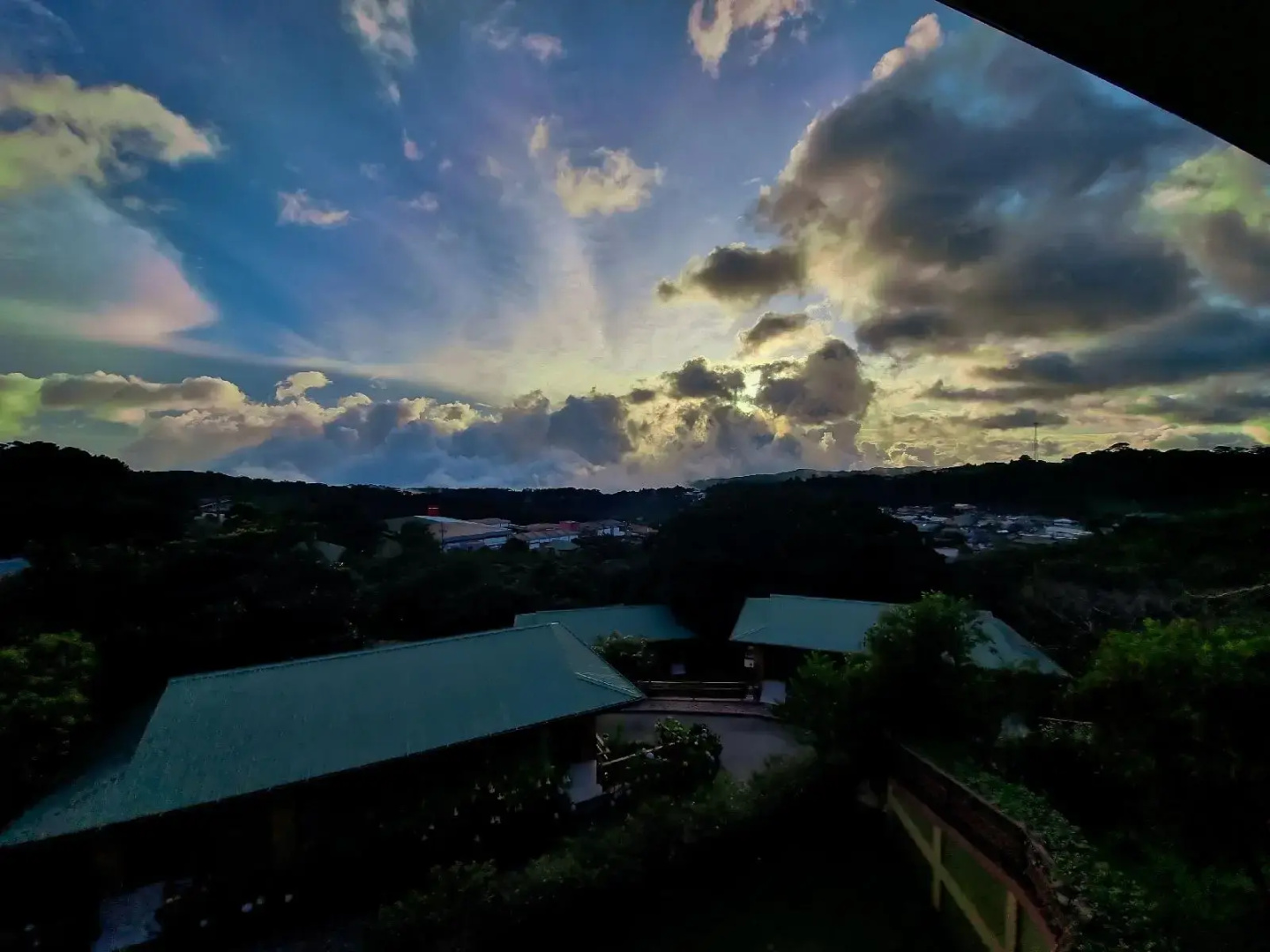 Foto - Ficus Sunset Suites