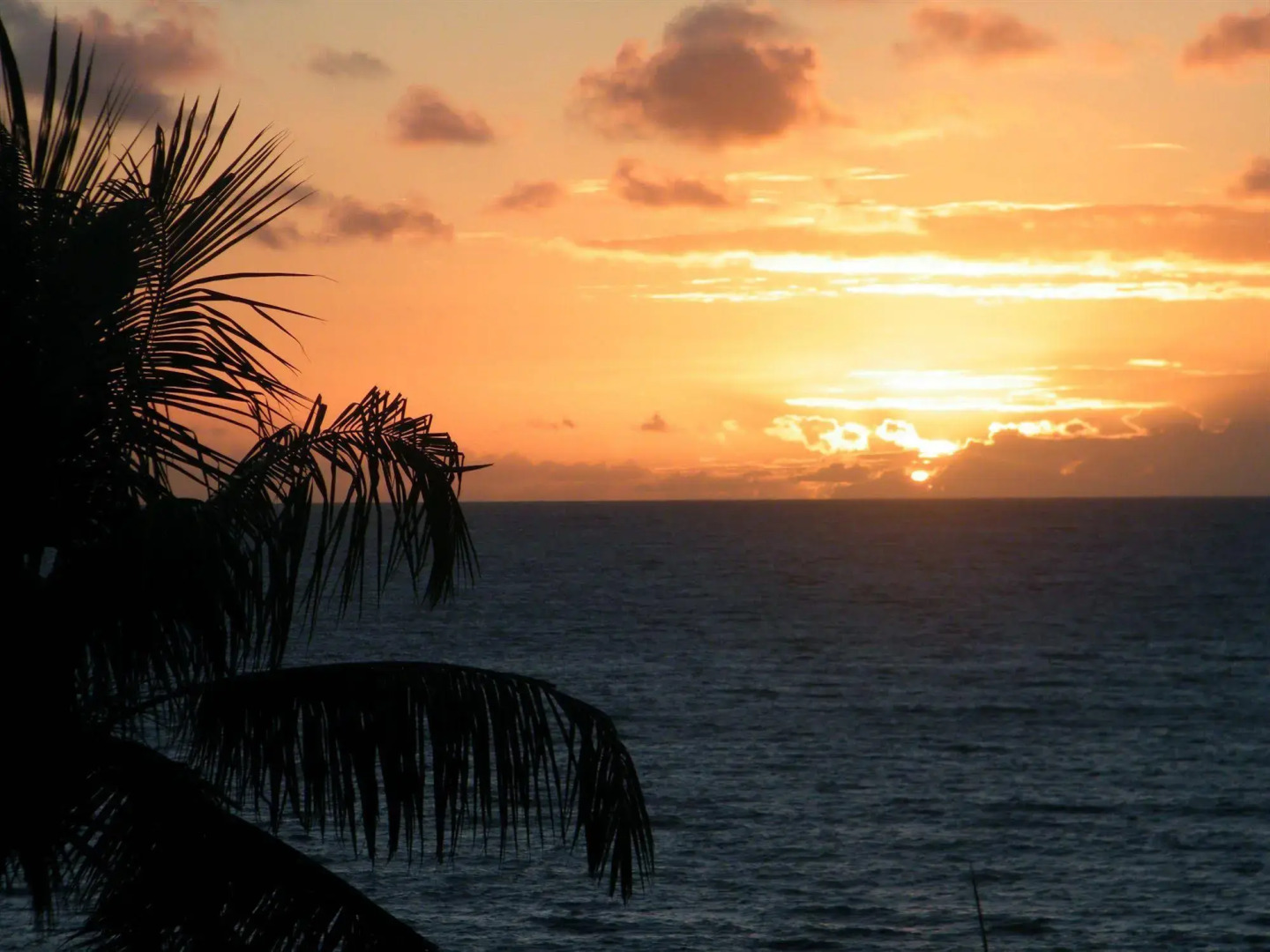 Foto - Littoral Gold Flat