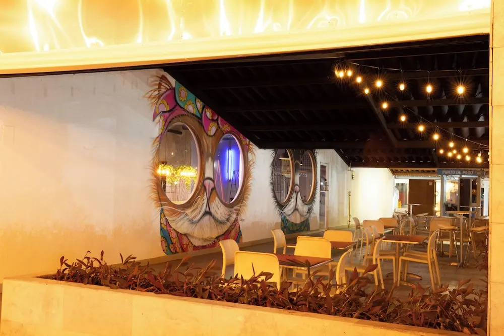 Foto - MARINN Tropical Vibes Hotel