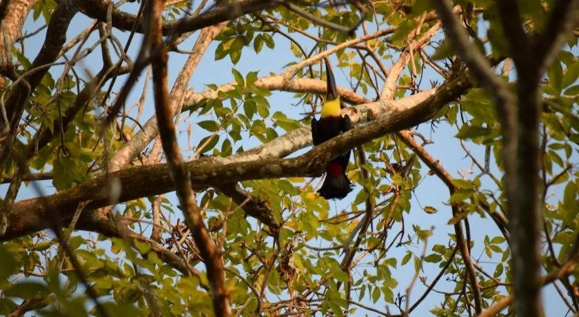Photo - Hotel Tres Banderas