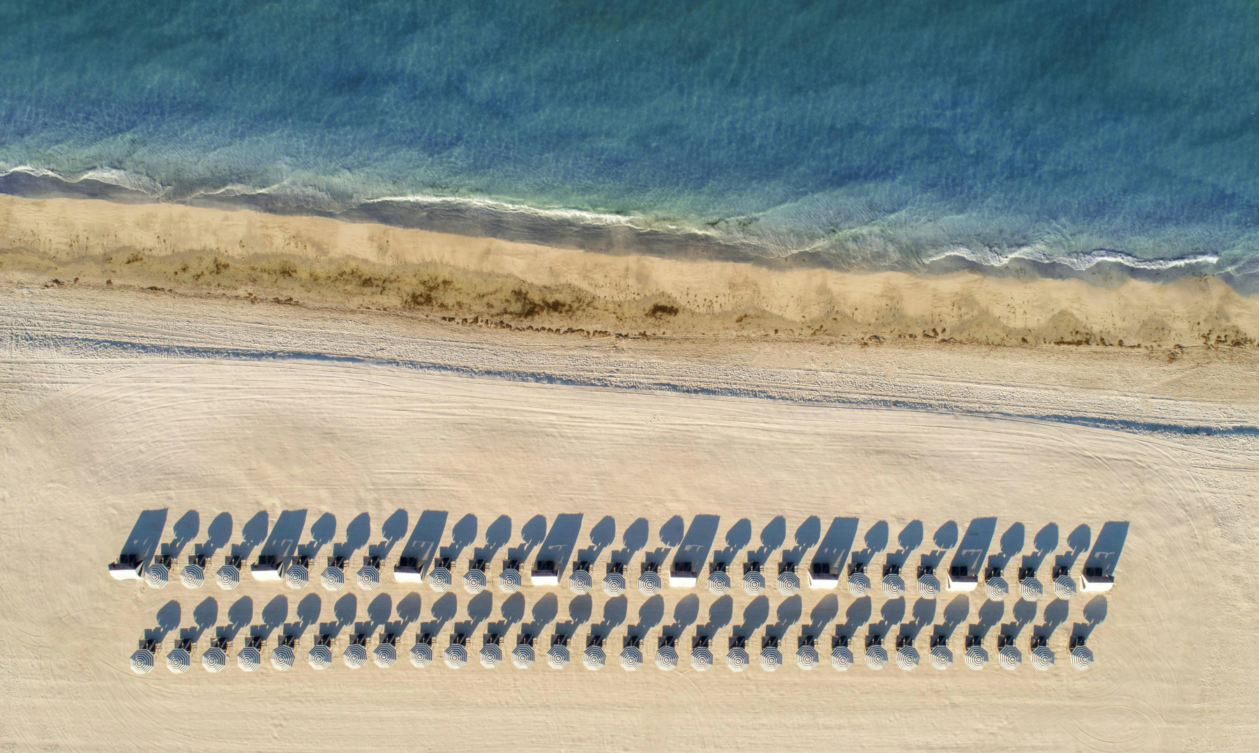 Foto - St Pete Shores Hotel